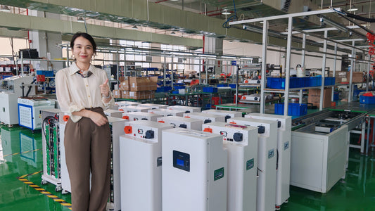 🔋 Power Your Energy Projects with Deligreen Poland Warehouse – All In Stock!