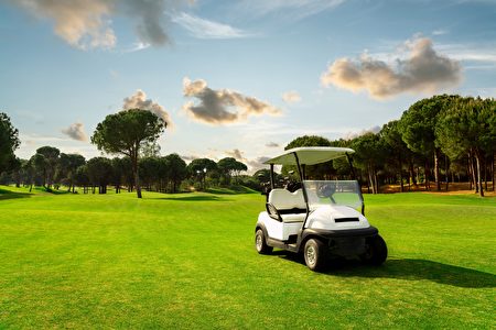 How to Choose the Right On-Board Charger (OBC) for Your Golf Cart ?